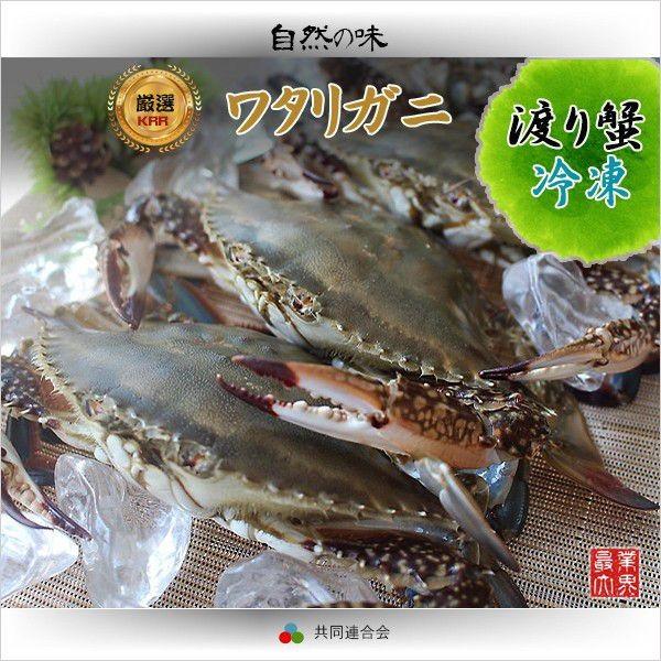 ケジャン チゲ 鍋用として大人気 冷凍ワタリガニ２ ３匹 約1kg 57 スラッカンプラス 通販 Yahoo ショッピング