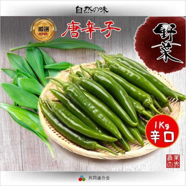 時価商品新鮮生青唐辛子辛口1kg 韓国野菜焼肉素材野菜類 Buyee Buyee 提供一站式最全面最專業現地yahoo Japan拍賣代bid代拍代購服務