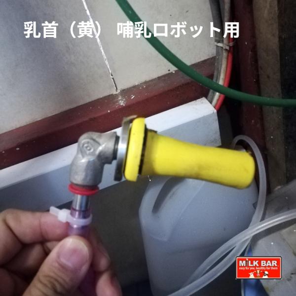 ミルク・バー乳首は、子牛の健康と発育をサポートするために設計された革新的な製品です。この乳首は、親牛の哺乳を模倣することで、自然な飲み方を促し、子牛が健康的にミルクを摂取できるようにします。家族経営の農場から大規模な酪農場に至るまで、国内外...
