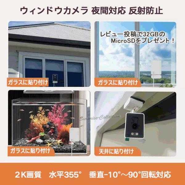 surprise-collection_t37