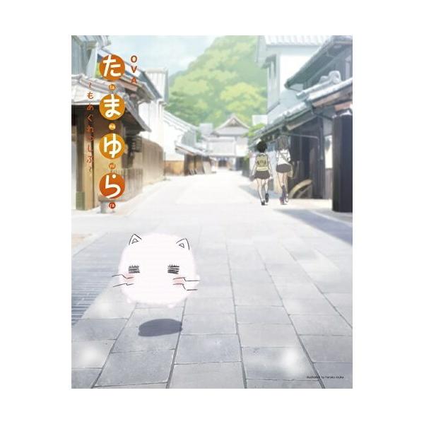 DVD / アニメ / OVA たまゆら〜もあぐれっしぶ〜 (スペシャルプライス版)