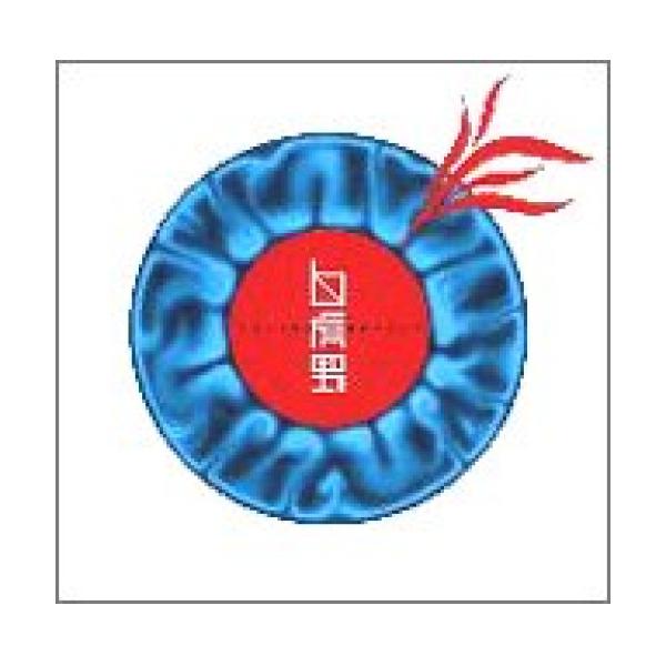 [Release date: February 2, 2006]平沢進 (ヒラサワススム ひらさわすすむ)2006年2月2日 発売CD:11.時間の西方2.白虎野3.生まれなかった都市4.記憶から来た男5.水脈6.CODE-COSTARIC...