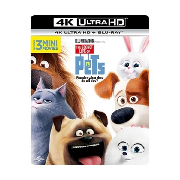 【取寄商品】UHBD/キッズ/ペット(Ultra HD Blu-ray) (4K Ultra HD Blu-ray+Blu-ray)