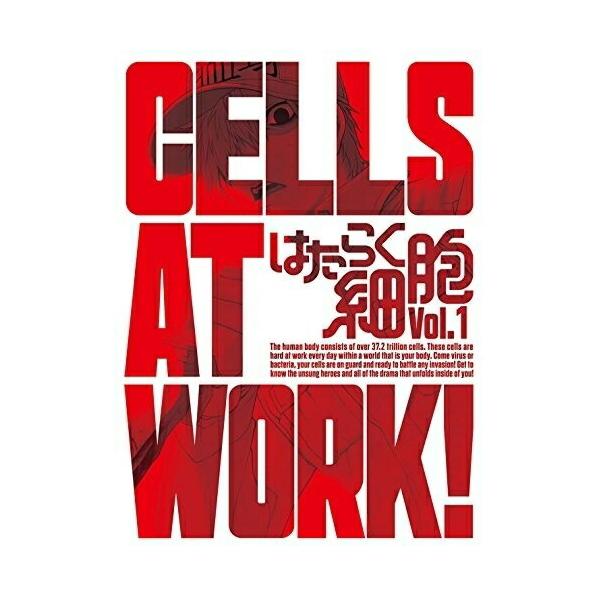 Dvd Tvアニメ はたらく細胞 Vol 1 Dvd Cd 完全生産限定版 Buyee Buyee Japanese Proxy Service Buy From Japan Bot Online