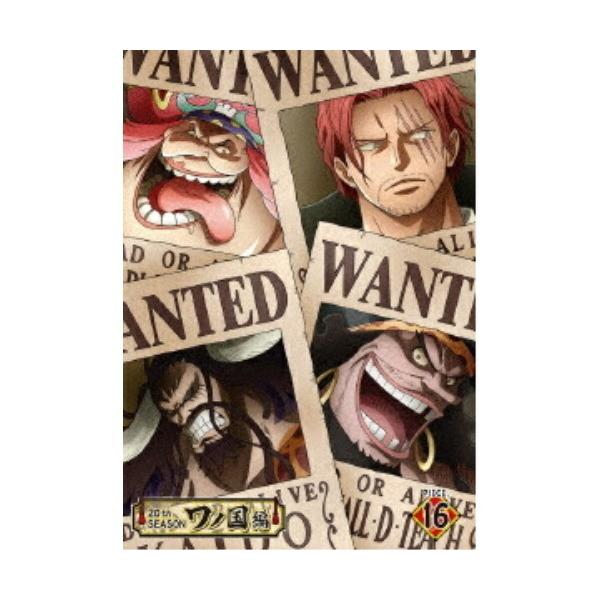 One Pieceワノ国編 Piece16 みんな探してる人気モノ One Pieceワノ国編 Piece16 Dvd 映像ソフト