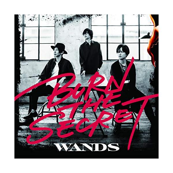 CD/WANDS/BURN THE SECRET (通常盤)