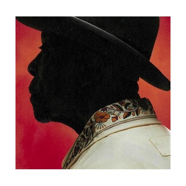 CD/バディ・ガイ/終わりなきブルースの旅 (解説歌詞対訳付)