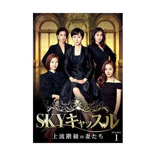 【取寄商品】DVD/海外TVドラマ/SKYキャッスル〜上流階級の妻たち〜 DVD-BOX1 (本編ディスク6枚+特典ディスク1枚)【Pアップ