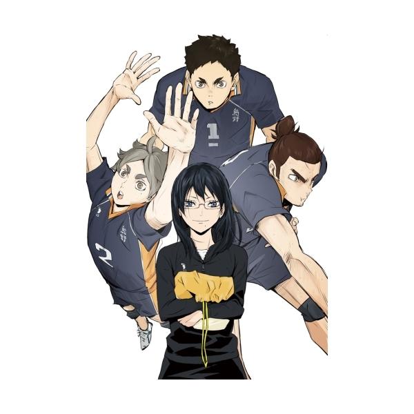 【取寄商品】DVD/TVアニメ/ハイキュー!! TO THE TOP Vol.3