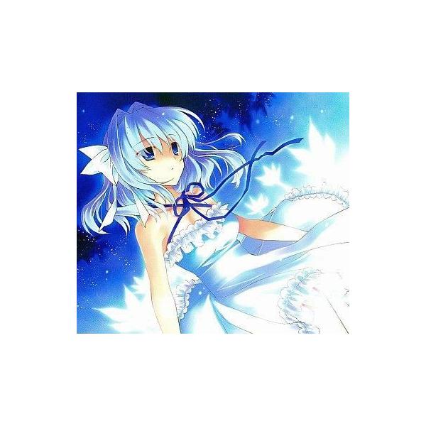 suruga-ya_186104320001