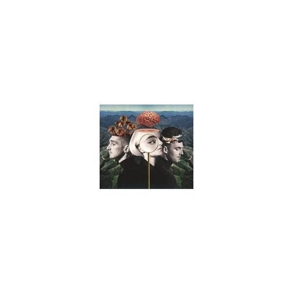 商品名：中古輸入洋楽CD clean bandit / what is love?(deluxe)[輸入盤]0190295552572こちらの商品は、リーフレット付き、デジパック仕様になります。used0130_cd