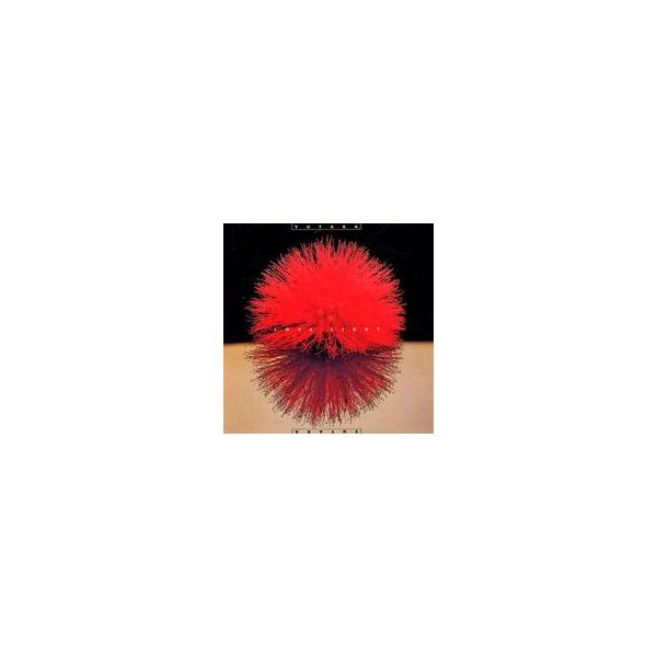 中古その他CD YUTAKA(key ，vo / (廃盤)ラヴ・ライト