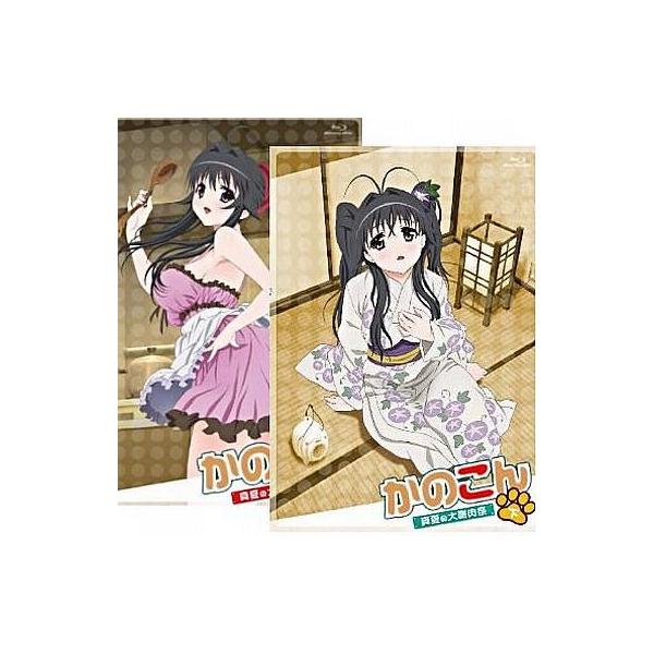 中古アニメBlu-ray Disc OVA かのこん〜真夏の大謝肉祭・上下巻セット