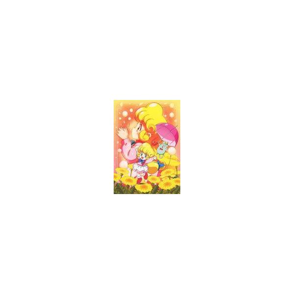 中古アニメBlu-ray Disc TVアニメ化30周年記念 花の魔法使い マリーベル アニバーサリー・BD-BOX