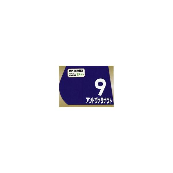 中古雑貨 9.アンドヴァラナウト(第26回秋華賞) 出走馬ミニゼッケン