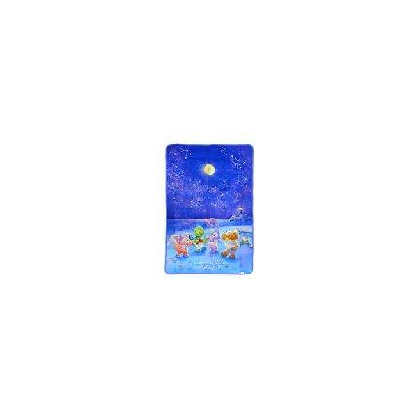 中古雑貨 集合 ピクニックシート 「ダッフィー＆フレンズのサマーナイト・メロディー」 東京ディズニーシー限定