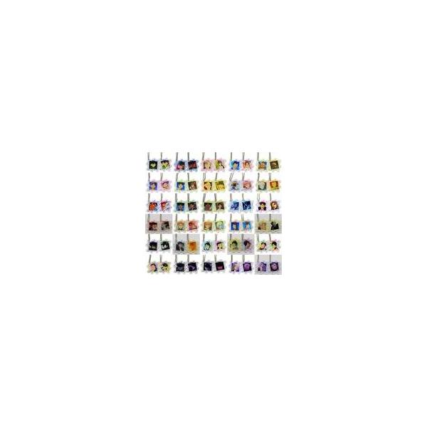 中古キーホルダー 全30種セット 「名探偵コナンランド×ダイバーシティ東京 プラザ TDアクリルパズル(TVアニメオープニング