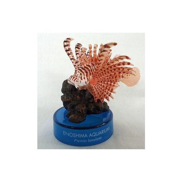 中古トレーディングフィギュア ミノカサゴ 「新江ノ島水族館立体生物図録」