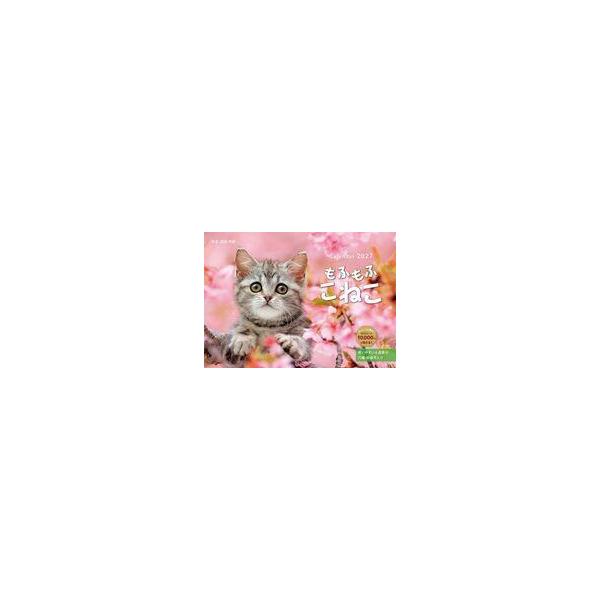 新品カレンダー もふもふこねこ 2027年度カレンダー