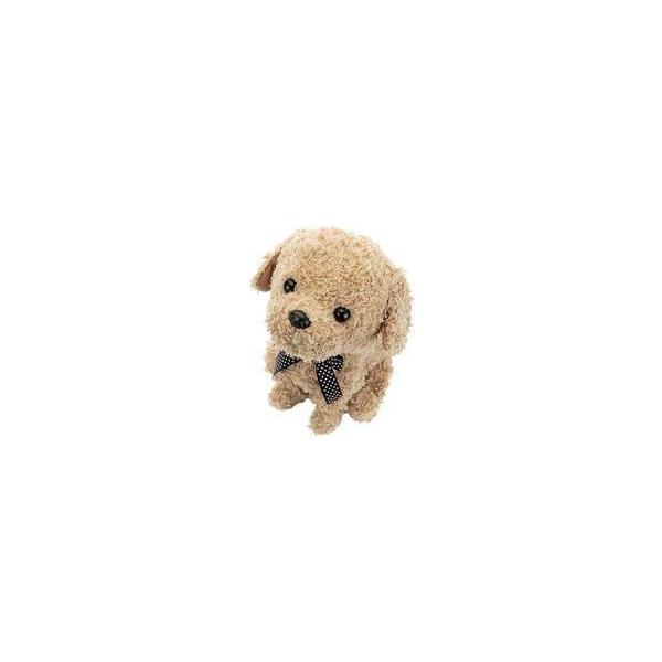 新品おもちゃ ココさかだちして アプリコット