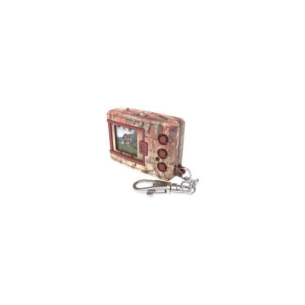中古おもちゃ デジタルモンスターCOLOR モンスターハンター 20th Edition リオレウスカラー プレミアムバンダイ