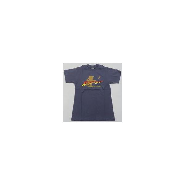 中古Tシャツ Adventurer Wynn Tシャツ アイアングレー XLサイズ 「アトランチスの謎」