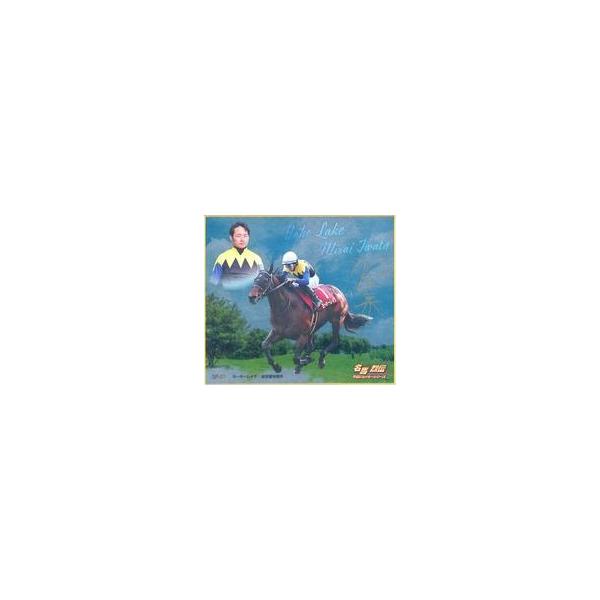中古紙製品 ヨーホーレイク×岩田望来(メタリック加工) 「名馬烈伝色紙コレクション 平成ジョッキーシリーズ トレーディング