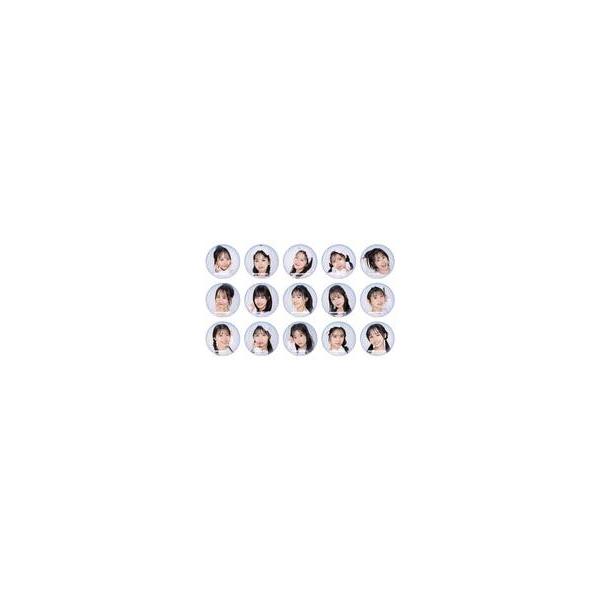 中古バッジ・ピンズ 全15種セット 「STU48 缶バッジコレクション」