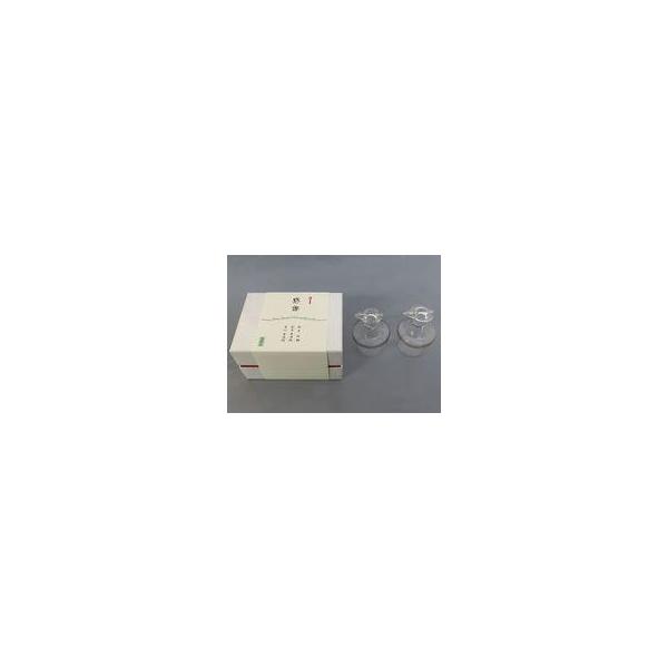 中古食器 松本白鸚＆松本幸四郎＆市川染五郎 醤油差し(2個組) 高麗屋3代襲名記念品