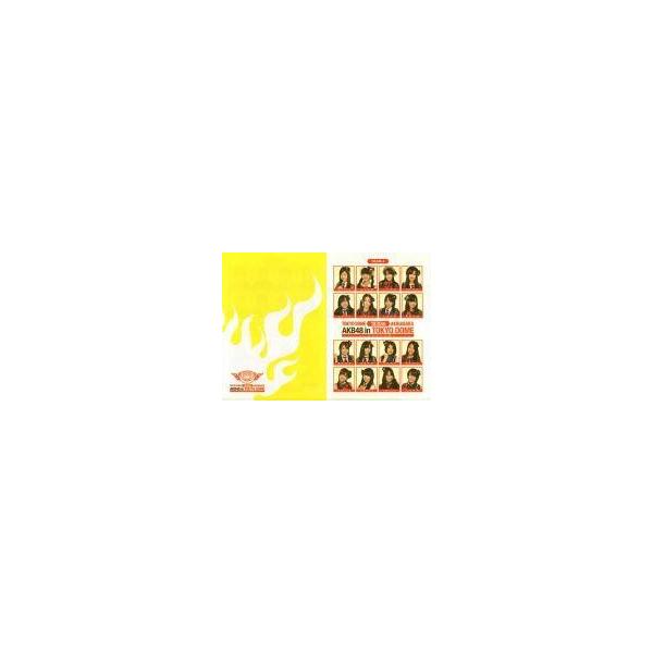 中古クリアファイル(女性アイドル) チーム4 A4クリアファイル 「AKB48 in TOKYO DOME 〜1830mの夢〜」