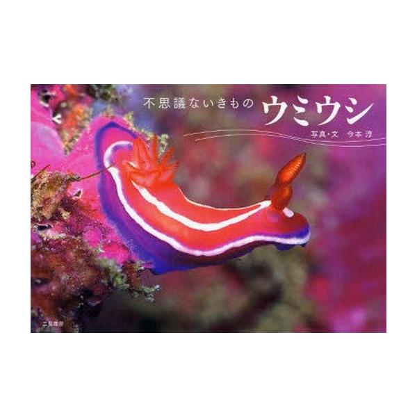 商品名：中古単行本(実用) ≪動物学≫ ウミウシ 不思議ないきもの動物学芸術・アート単行本