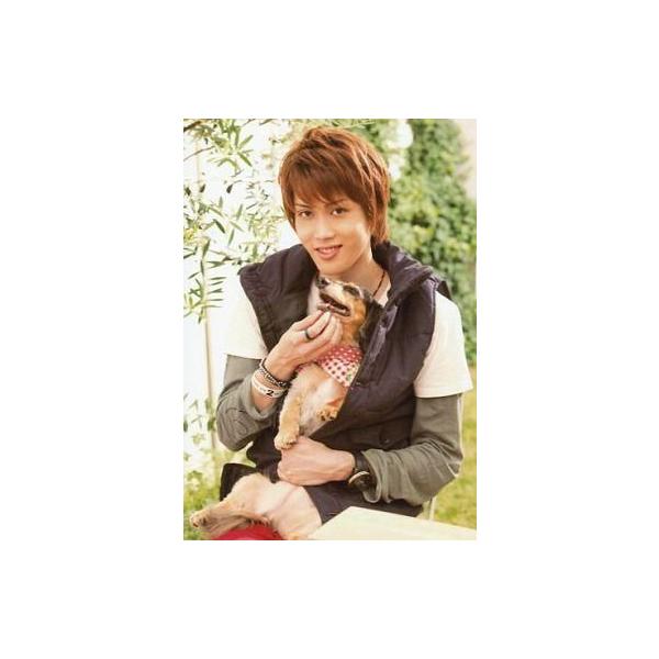 Cdjapan 中古生写真 男性 碕理人 忍足謙也 上半身 衣装黒 白 グレー 犬 私服ショット ミュージカル テニスの王子様 青学vs四天宝寺追加生写真 Proxy Shopping Service Yahoo Shopping