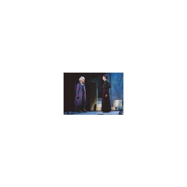 中古生写真(男性) 長江崚行(オルロック)・高野絹也(ヨゼフ・フォン・ロズベルグ)/ライブフォト・横型・キャラクターショット/ミュージカル「ピ