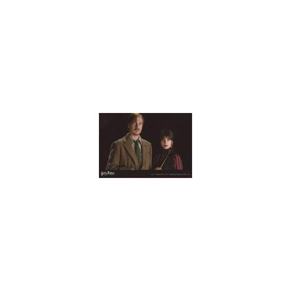 中古生写真(男性) デヴィッド・シューリス(リーマス・ルーピン)・ナタリア・テナ(ニンファドーラ・トンクス)/横型/ハリーポッター