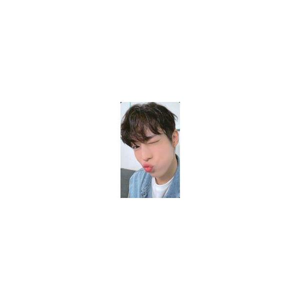 中古コレクションカード(男性) SF9/ダウォン(DAWON)/CD「9th Mini Album ： Tur