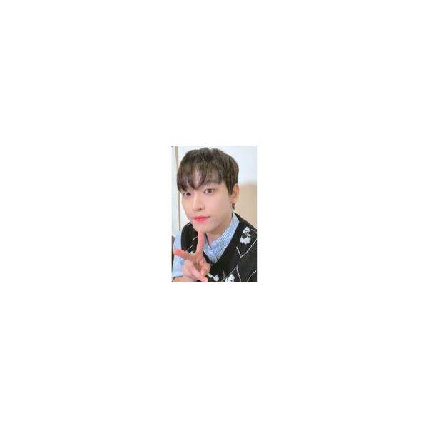 中古コレクションカード(男性) SF9/インソン(INSEONG)/CD「9th Mini Album ： T