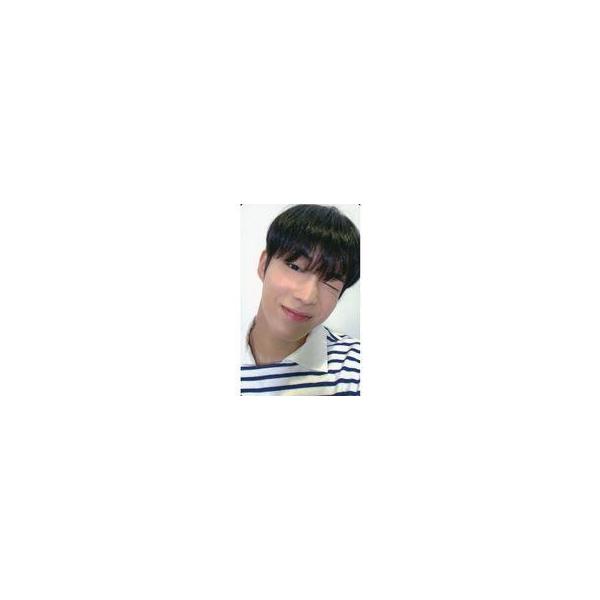 中古コレクションカード(男性) SF9/ダウォン(DAWON)/CD「9th Mini Album ： Tur