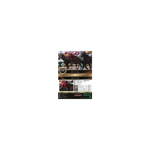 中古スポーツ 19[レギュラーカード]：阪急杯/ウインマーベル