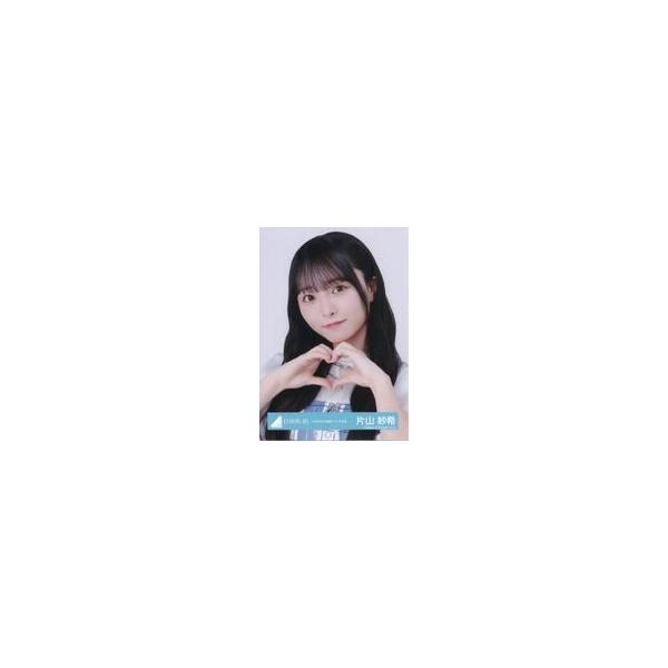 中古生写真(坂道シリーズ) 日向坂46/片山紗希/バストアップ/日向坂46ランダム生写真【「6回目のひな誕祭」ライブ衣装】