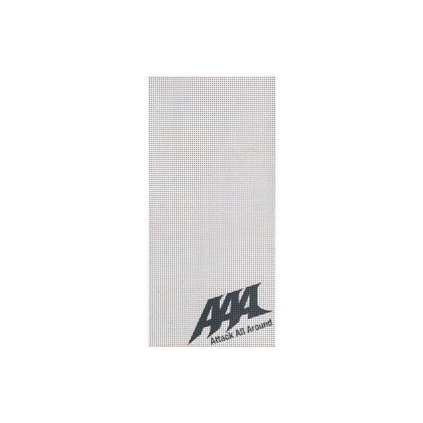 中古パンフレット(ライブ・コンサート) ≪パンフレット(ライブ)≫ パンフ)AAA 4th Ann