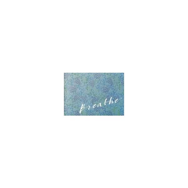 中古パンフレット ≪パンフレット(洋画)≫ パンフ)ブレス しあわせの呼吸 Brethe