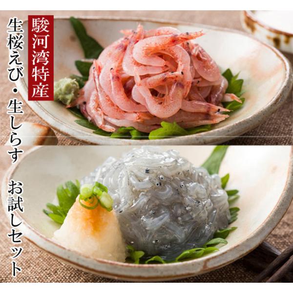 お歳暮ギフト　送料無料《今だけ増量！駿河湾産 生桜えび・生しらす》お取り寄せ グルメ 母の日 ギフト 贈り物 お中元 誕生日 内祝い お礼【包装・カード無料】