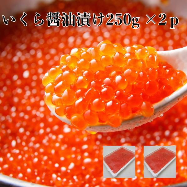2パック 【送料無料】 いくら醤油漬け250g×2p サーモントラウト粒は小さいけど味は抜群！ 丼 軍艦 手巻き寿司 ちらし寿司 冷凍便 お取り寄せグルメ 食品 爆買