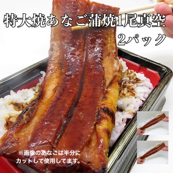 2パック【送料無料】特大焼き穴子蒲焼1尾×2p 真空 焼穴子 焼あなご 焼き穴子 穴子 アナゴ あなご 贈答用 お土産 贈り物 お中元 ギフト 爆買