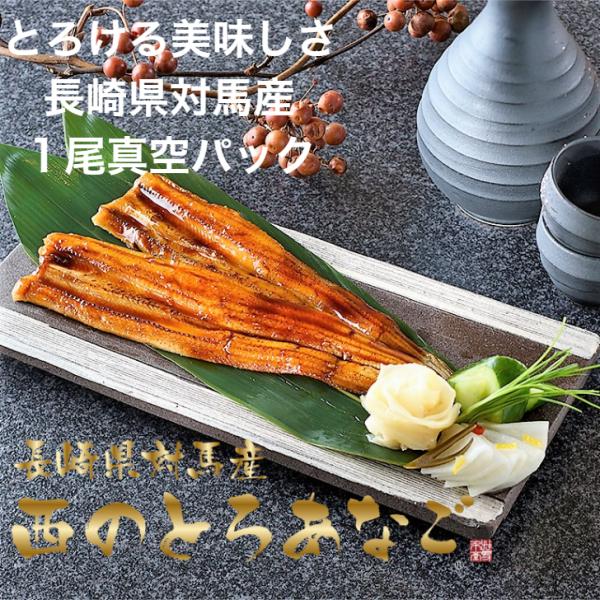 対馬近海は海流が早くそこを力強く泳ぐ穴子は身が引き締まり、大振りに育ちます。対馬の穴子が生息している深海は太陽光が届かないため日焼けしません。水揚げすると腹が金色に輝いているため対馬の穴子は金穴子と呼ばれています。煮穴子丼、穴子茶漬け、おつ...