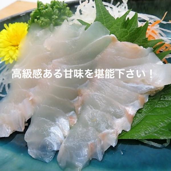 カット済みだから解凍後すぐ食べられる！白身魚の高級魚、三陸産の天然ヒラメ、刺身用 です。北国の冷たい海で育つため、身の締まりが抜群。 ヒラメ料理と言えば、なんといっても刺身で、品の良い旨味が楽しめます。ワサビ醤油のほか、 ポン酢醤油にアサツ...