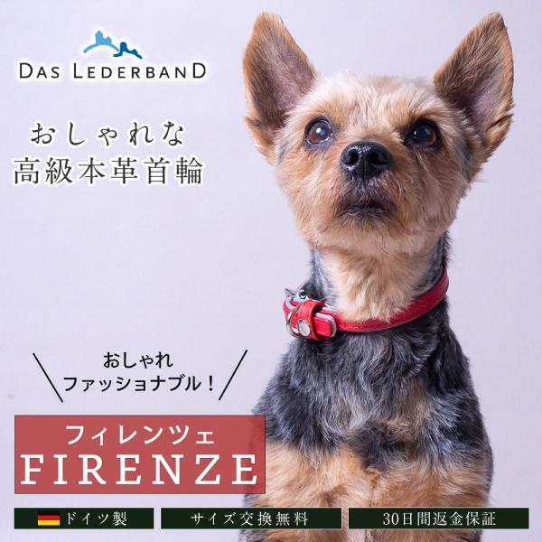 ドイツ製 高級本革首輪 Das Lederband レダーバンド 「Firenze