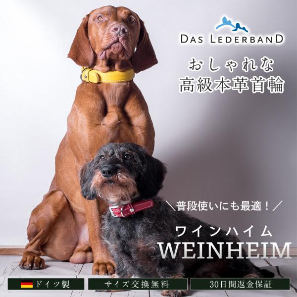 ドイツ製 高級本革首輪 Das Lederband レダーバンド 「WEINHEIM（ワインハイム ）」 S(幅35mm/長さ42cm) 首周り30-36cm 全10色 犬 首輪