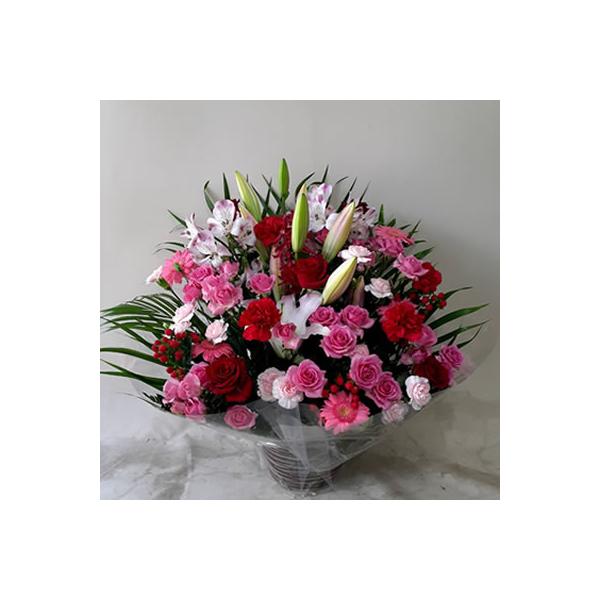 ○送料無料 ※以下エリアを除く　南東北(宮城、山形、福島)・信越(新潟、長野)・北陸(富山、石川、福井)・中国・四国・九州：別途送料 1,000円(税別)　※北海道・青森・秋田・岩手・沖縄県は発送できません。　※宅配便でのお届けのため、設置...