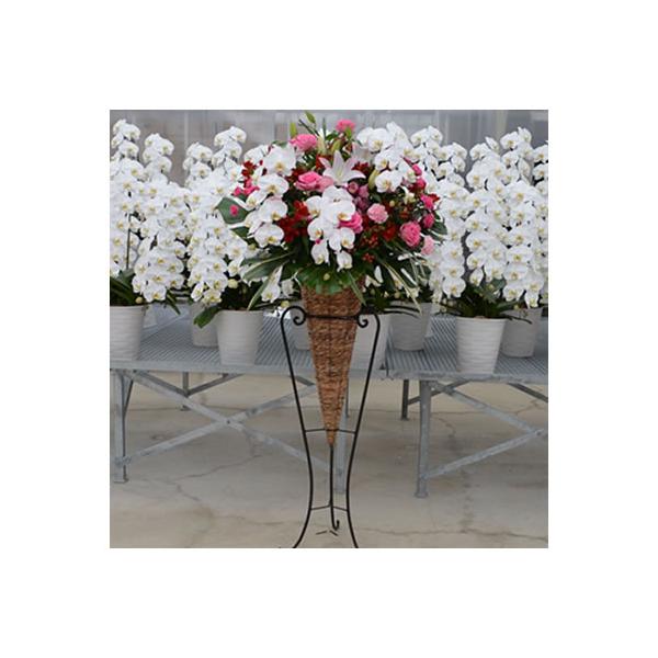 ○スタンド配送エリア　東京都・神奈川県(一部除く)・名古屋市・大阪府・福岡市のみ　※上記エリア以外はお届けできません。　※近隣も対象外となります○スタンド設置・回収致します　【設置】　直接設置にお伺い致します。　【回収】　後日回収にお伺い致...